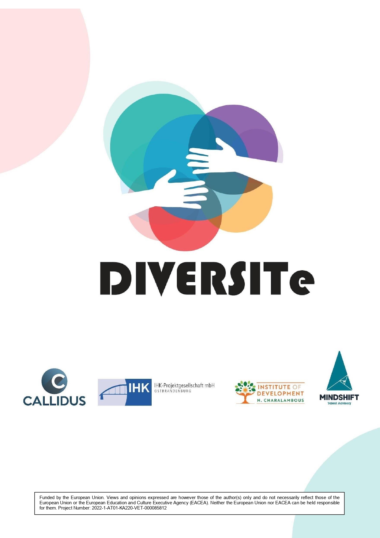 DIVERSITe 3rd Newsletter_page-0005